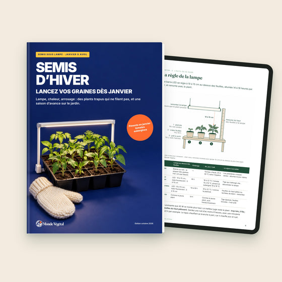 Ebook « Semis d’hiver », la couverture et la règle de la lampe sur tablette