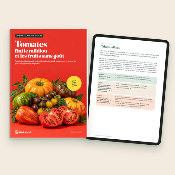 Ebook « Tomates : fini le mildiou et les fruits sans goût », la couverture et l’alerte mildiou sur tablette
