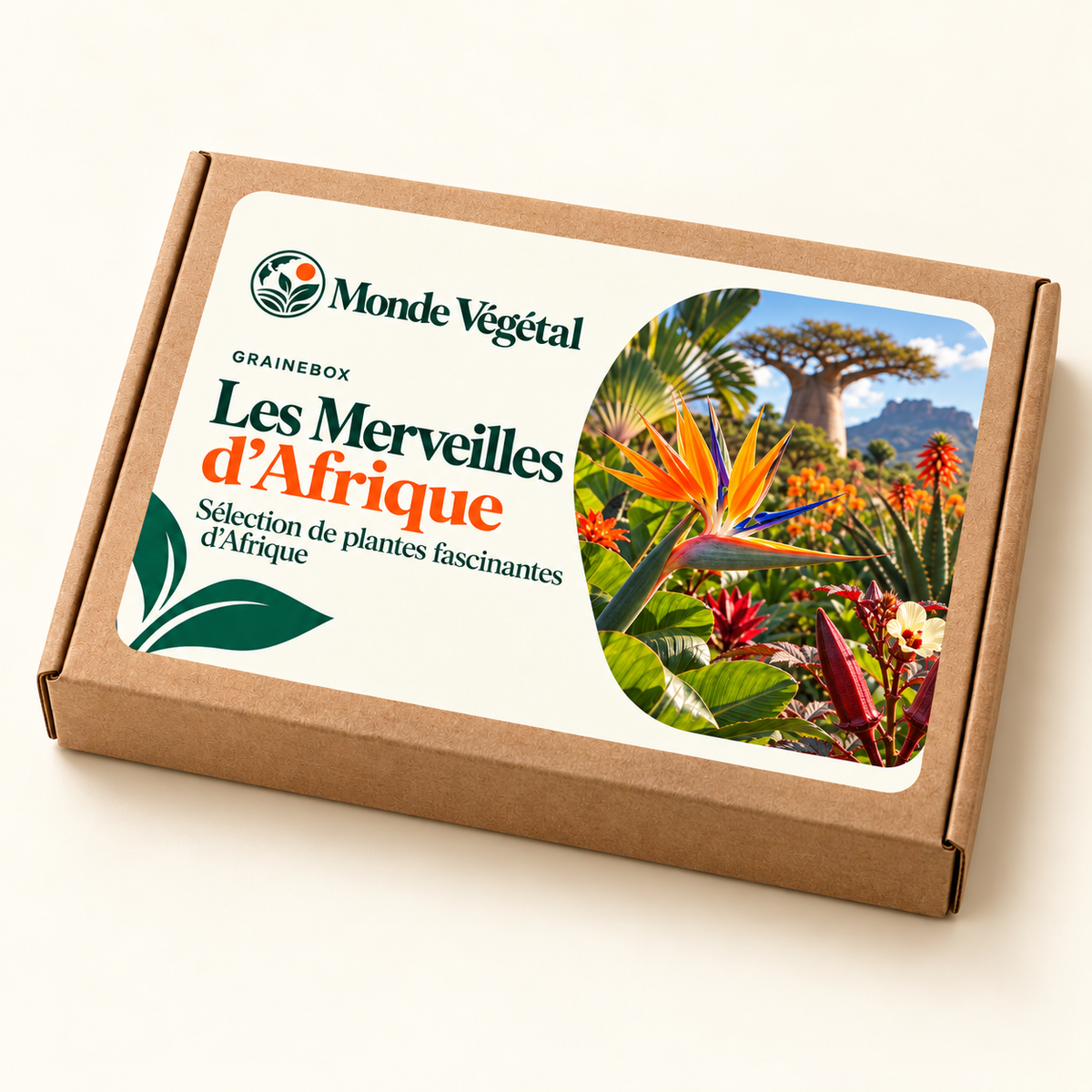 Grainebox — Les Merveilles d’Afrique