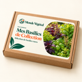 Grainebox — Mes Basilics de Collection
