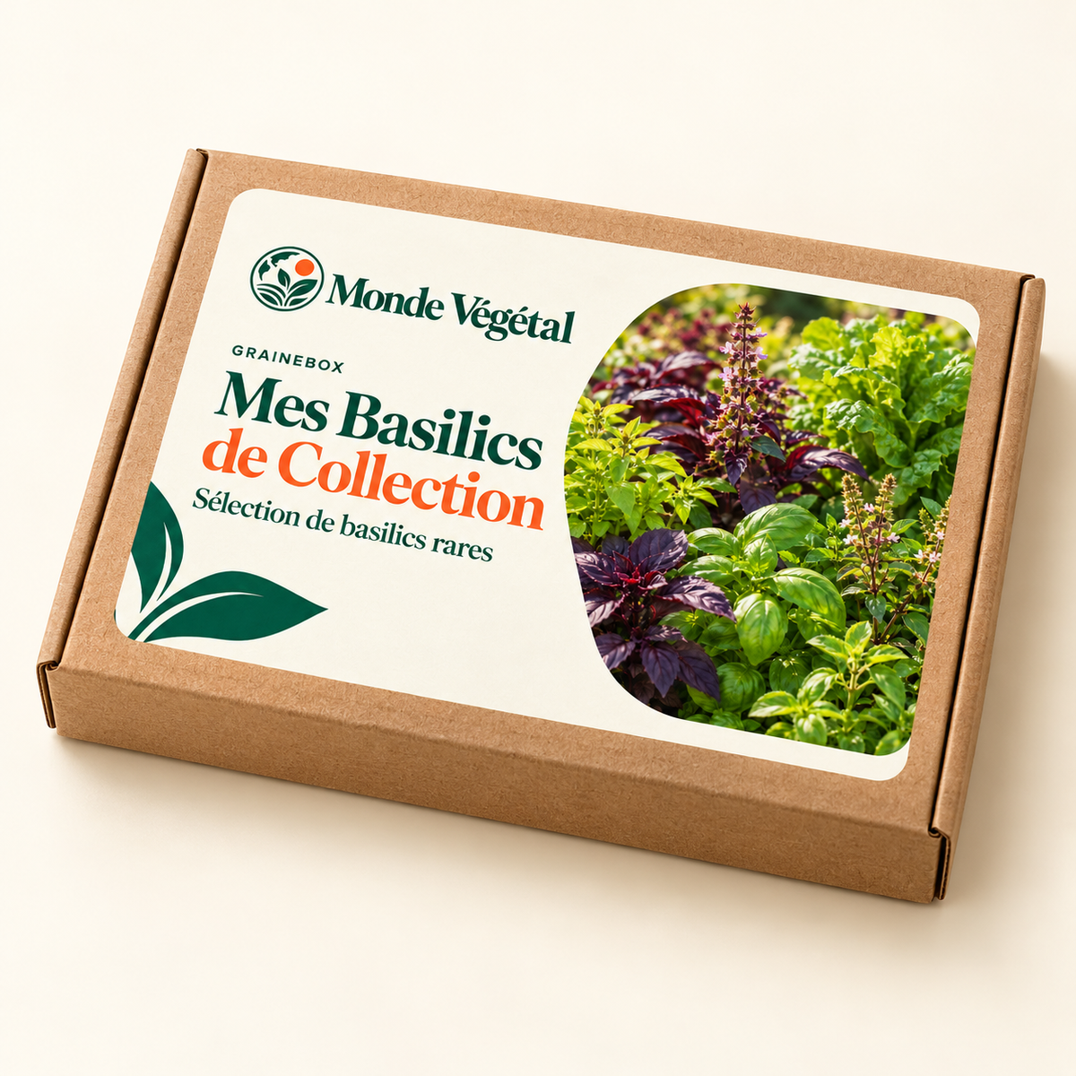 Grainebox — Mes Basilics de Collection