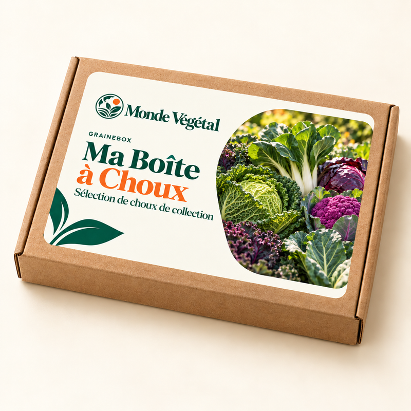 Grainebox — Mon Potager Arc-en-ciel