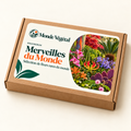 Grainebox — Merveilles du Monde