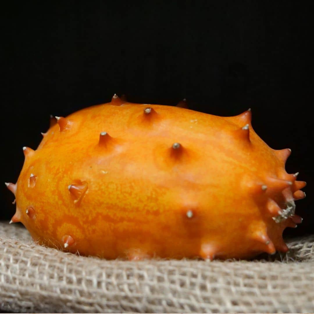 graines de kiwano fruit rare et insolite à cultiver avec monde vegetal