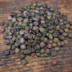 graines de senegalia senegal acacia du senegal