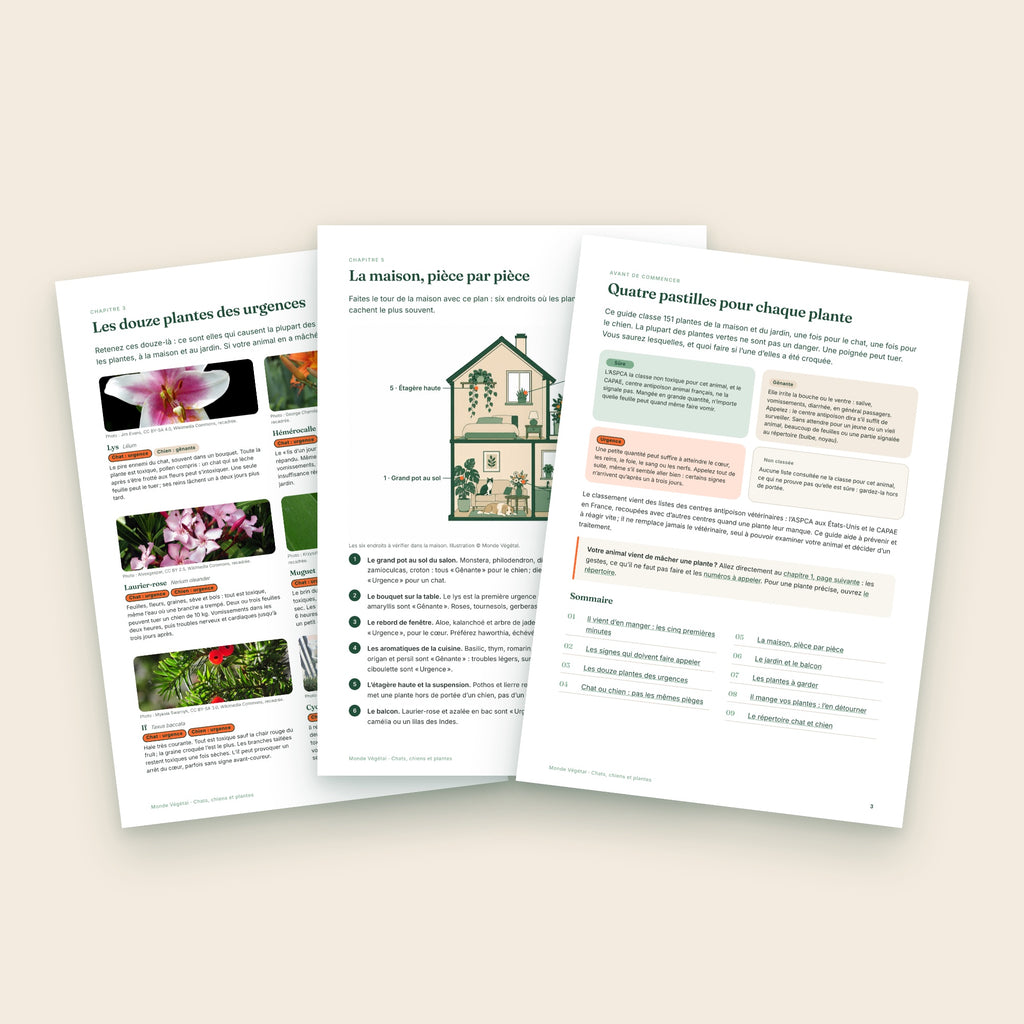 Trois pages intérieures de l’ebook : les douze plantes des urgences, la maison pièce par pièce, les quatre pastilles