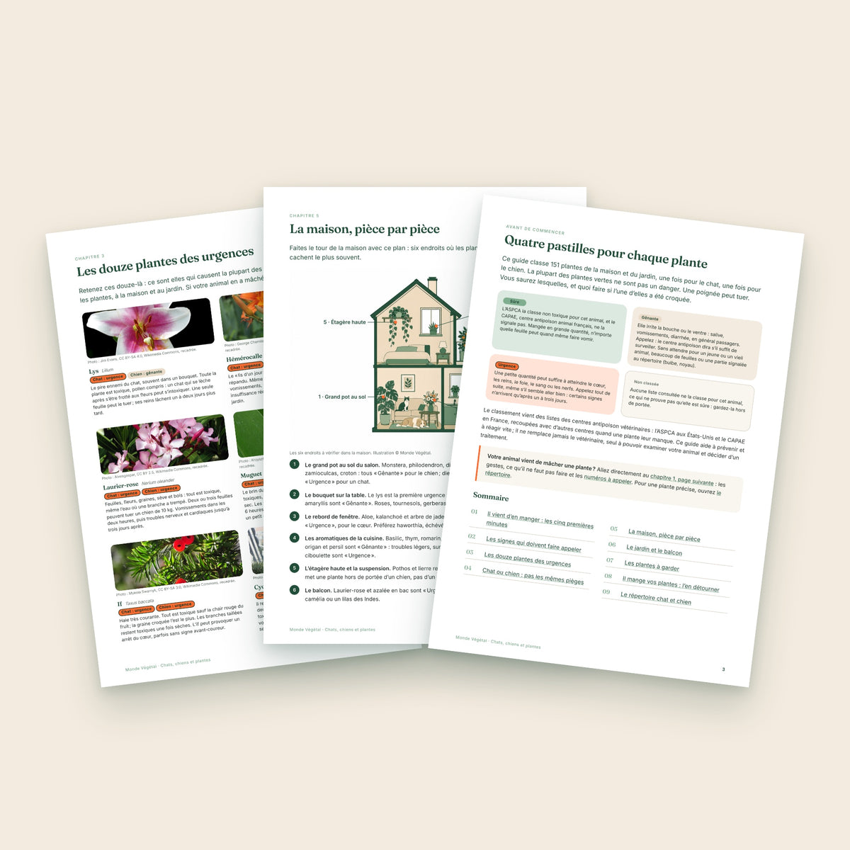 Trois pages intérieures de l’ebook : les douze plantes des urgences, la maison pièce par pièce, les quatre pastilles