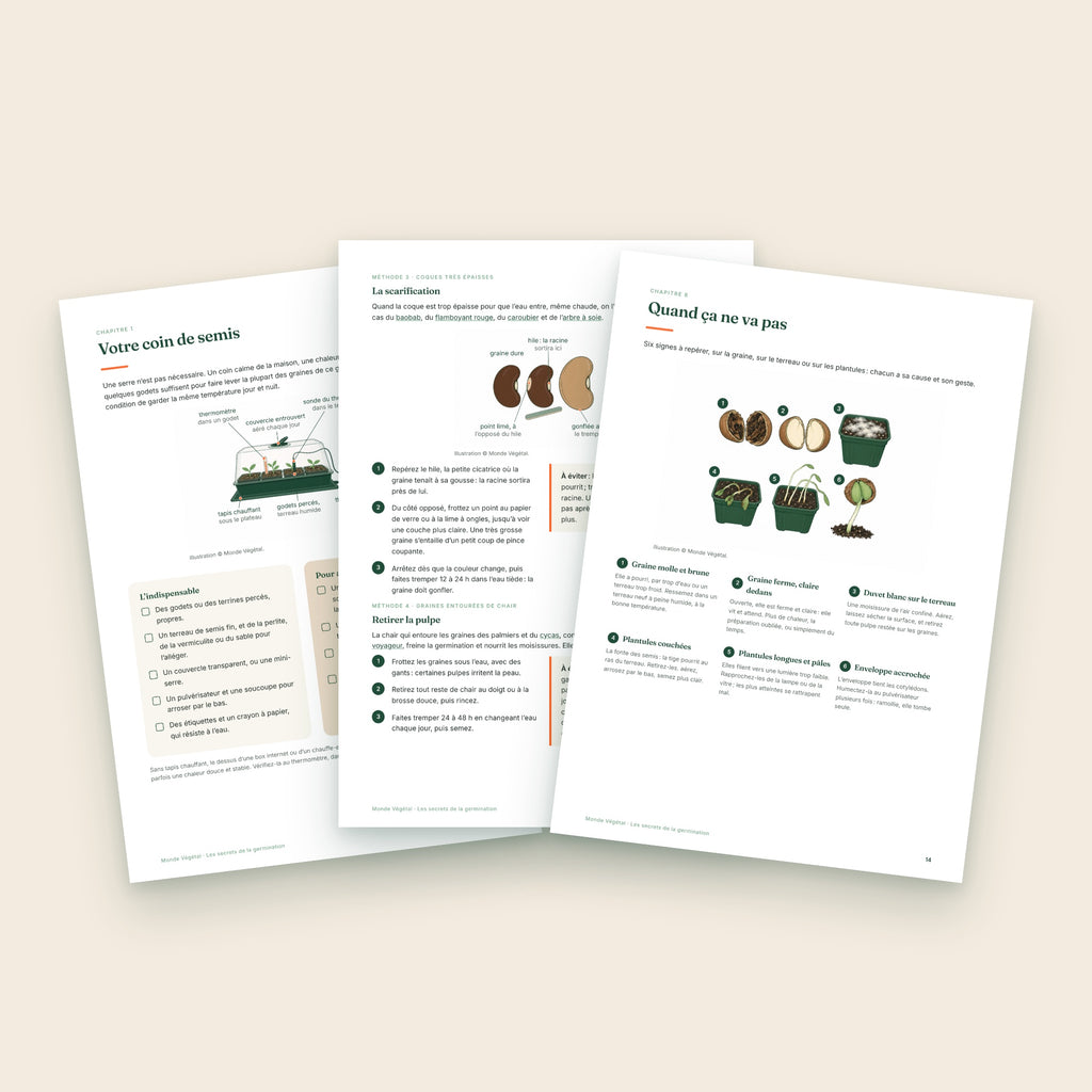 Trois pages intérieures de l’ebook sur la germination des graines rares