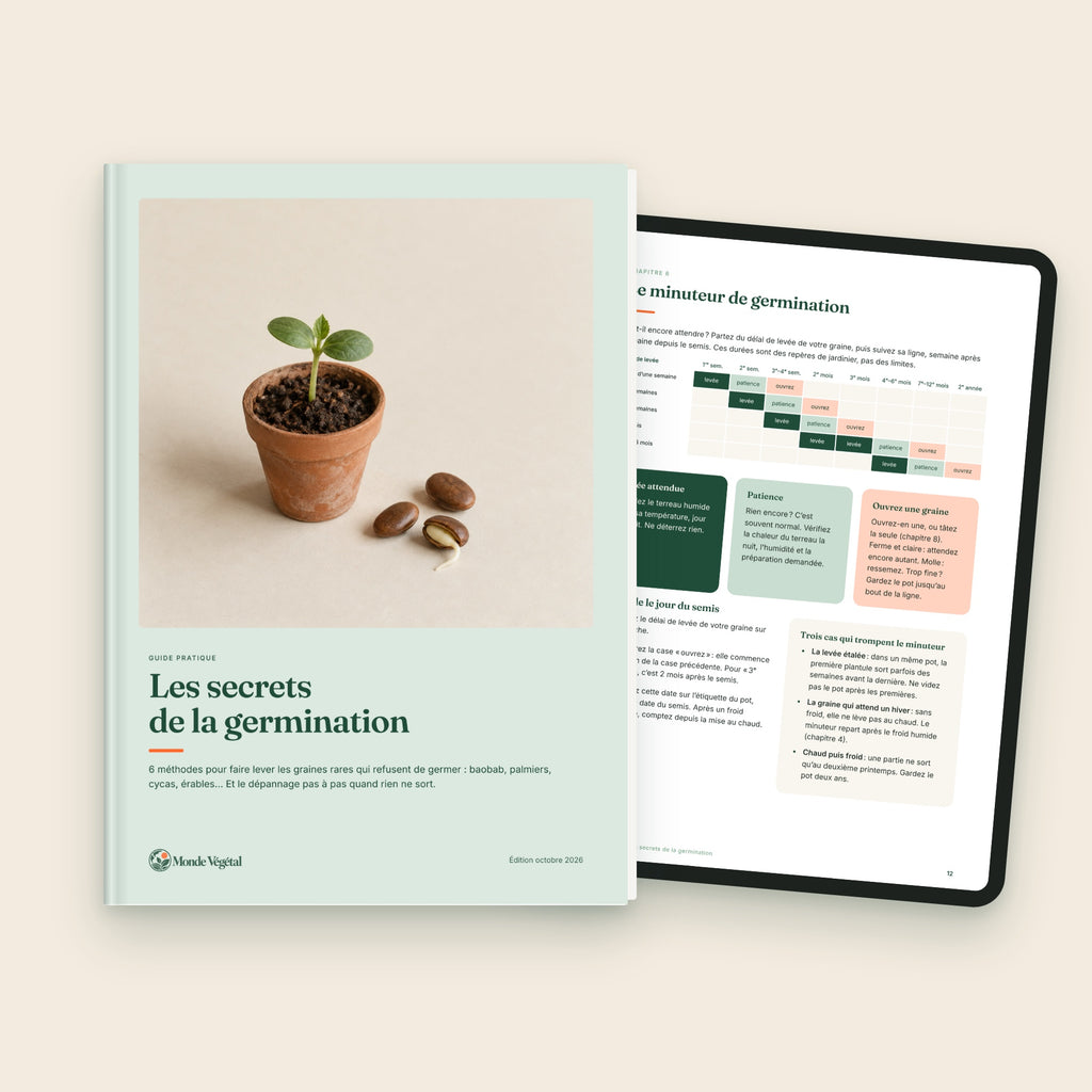 Ebook « Les secrets de la germination », couverture et page sur tablette