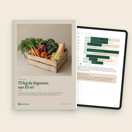 Ebook « 75 kg de légumes sur 15 m² », couverture et le relais des planches sur tablette