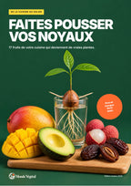 Couverture de l’ebook « Faites pousser vos noyaux » : un noyau d’avocat qui germe sur un verre d’eau, entre mangue, avocat, litchis et dattes