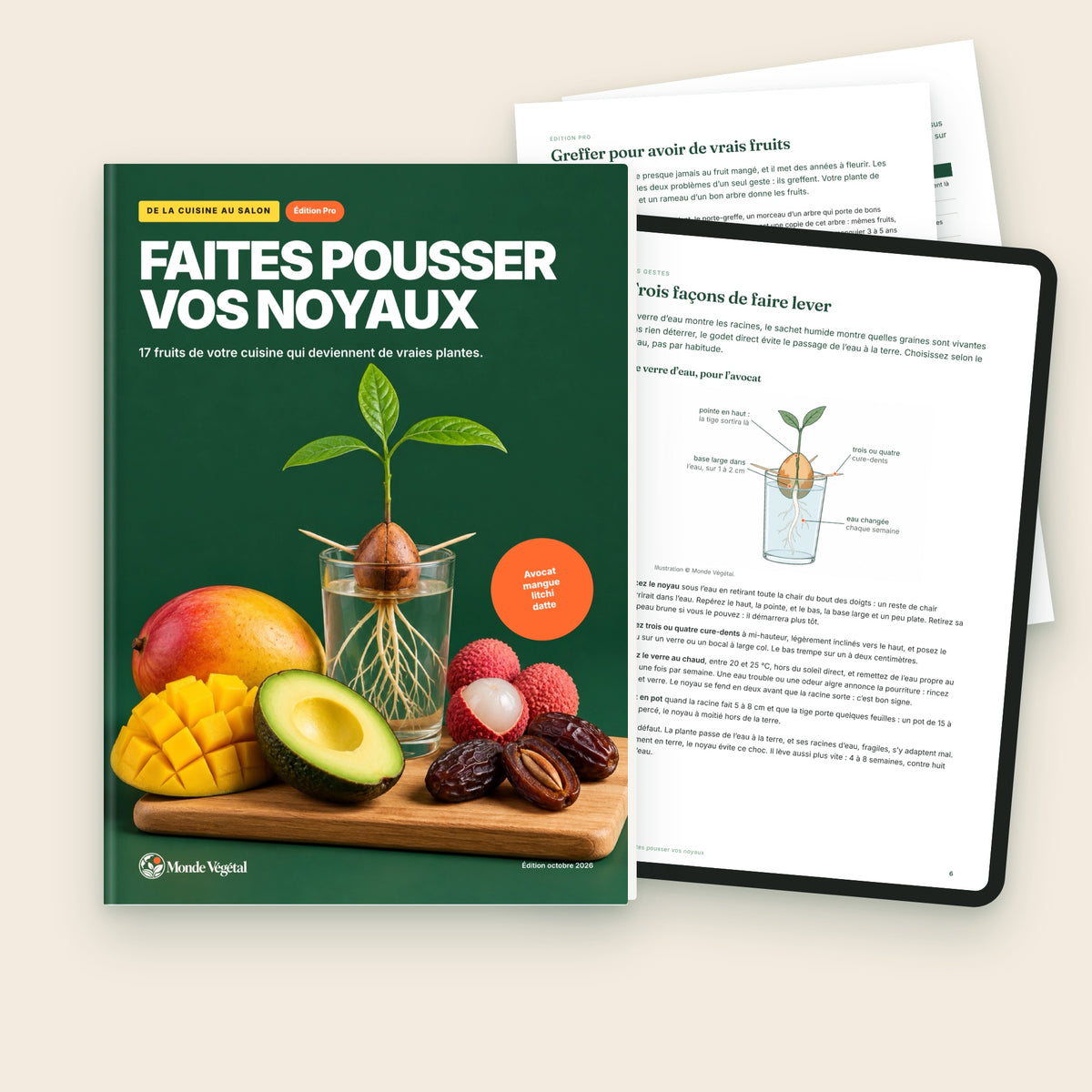 Édition Pro de l’ebook « Faites pousser vos noyaux », avec la greffe pour avoir de vrais fruits et la pleine terre