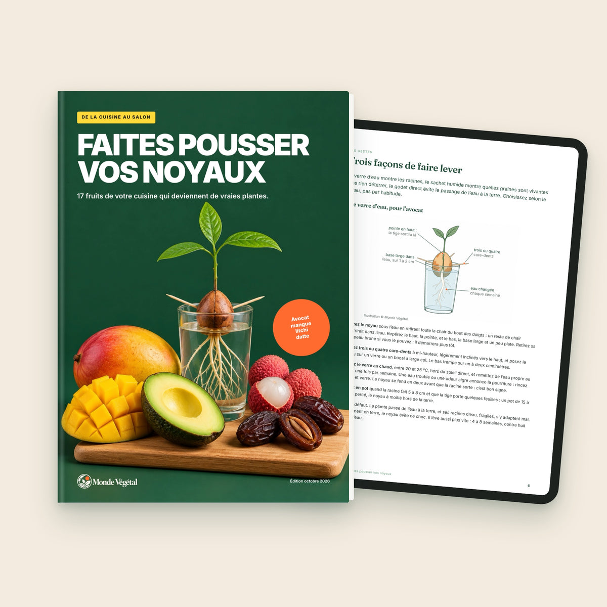 Ebook « Faites pousser vos noyaux », couverture et page « Trois façons de faire lever » sur tablette