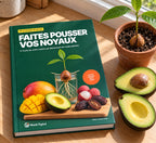 Ebook « Faites pousser vos noyaux » imprimé, posé près d’une fenêtre à côté d’un avocat coupé et d’un jeune avocatier en pot