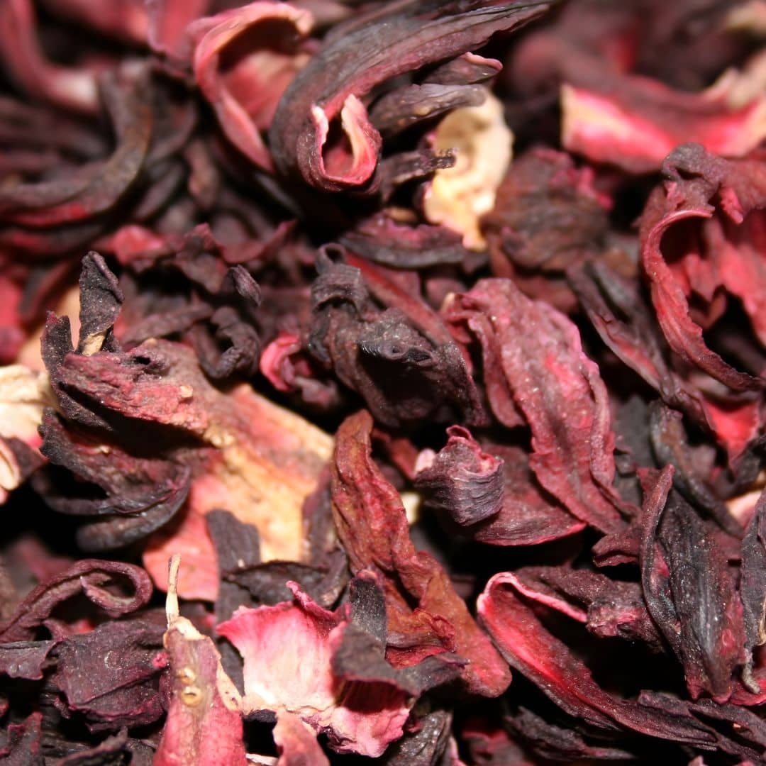 tisane de bissap hibiscus sabdariffa pour infusions santé