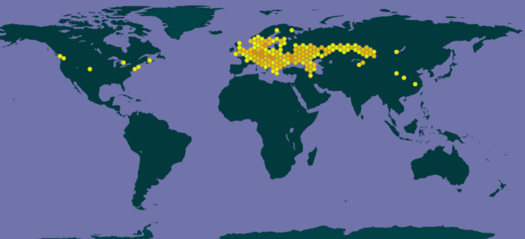 VERBASCUM PHOENICEUM carte de sa répartition dans le monde par pays