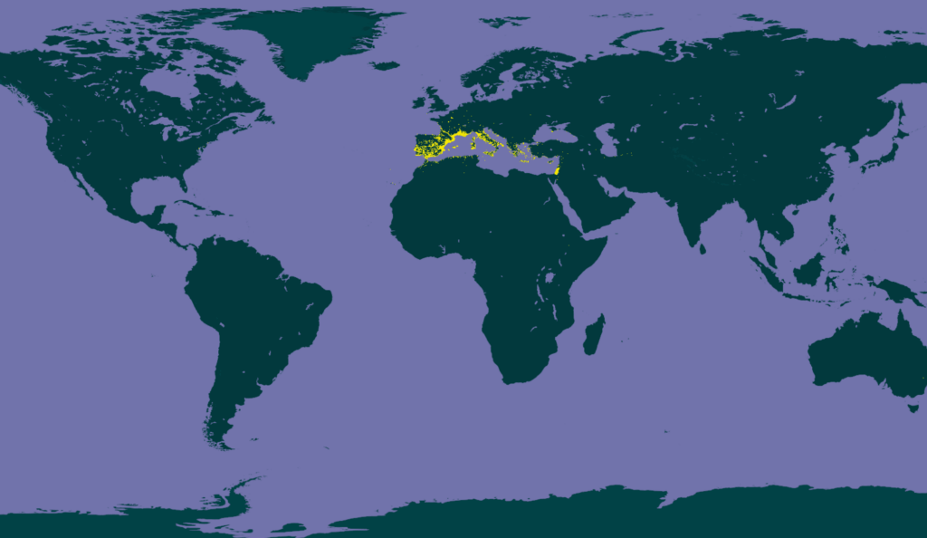 aire de répartition de verbascum sinuatum dans le monde carte