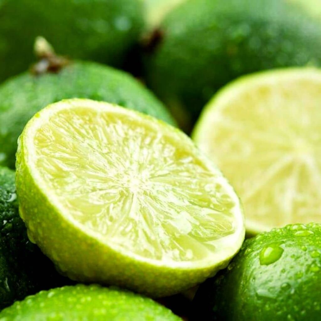 Lime Verte, Citron Vert dans les différents agrumes, c'est la variété la plus commune