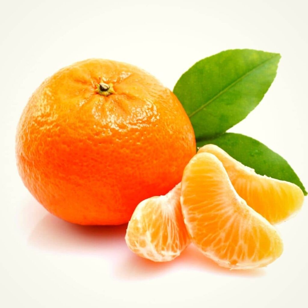 mandarine citrus reticulata