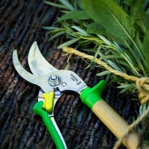 sécateur à lame franche liste des outils de jardinage