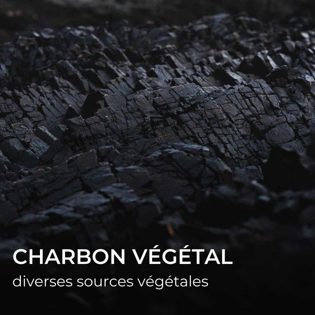 charbon végétal diverses sources végétales