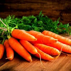 que semer en décembre les carottes