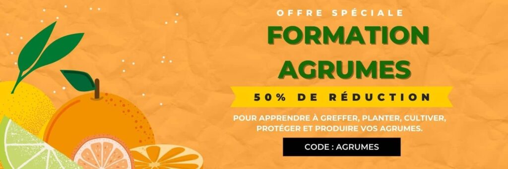 promotion Formation Agrumes Monde Végétal CODE PROMO