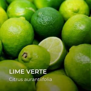 Citrus aurantiifolia lime verte variétés de citron